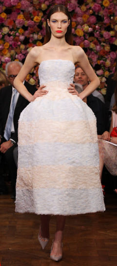 Christian Dior FW 2012